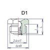 MazHlavLievD1.jpg